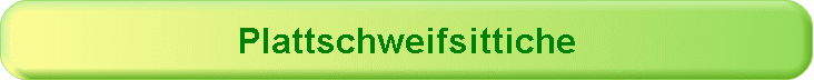 Plattschweifsittiche