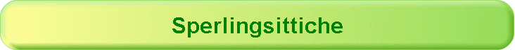 Sperlingsittiche