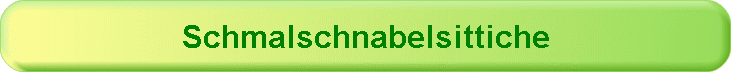 Schmalschnabelsittiche