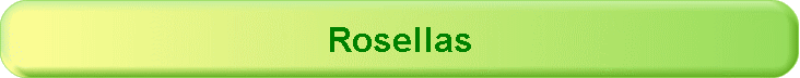 Rosellas
