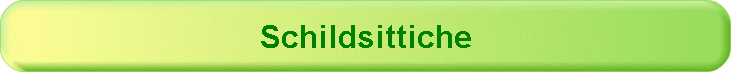 Schildsittiche